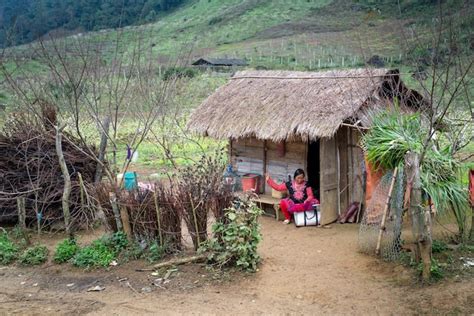 Premium Photo Traditional Thatched Hut Immersed In Natural Beauty