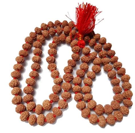 Adi Jewels Mukhi Rudraksha Jaap Mala Nepali Real Genuine Shaped