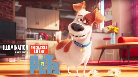 The Secret Life Of Pets Max Tries To Frame Duke Film Clip Youtube