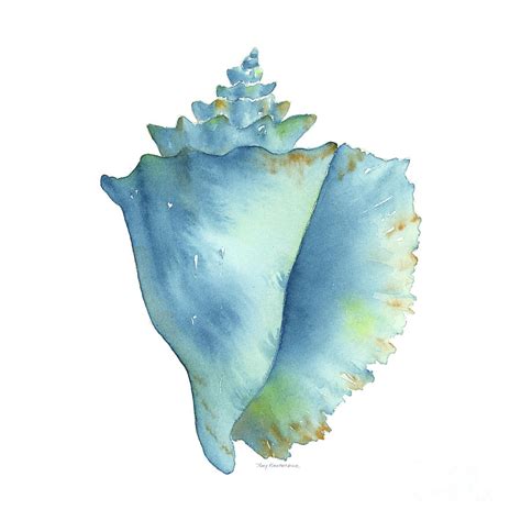 Blue Conch Shell Painting By Amy Kirkpatrick Pixels