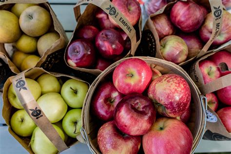 New digital features will update the burlington free press experience 15