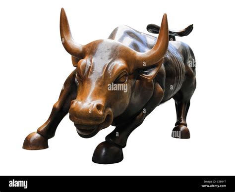 Bull Charging High Resolution Stock Photography And Images Alamy