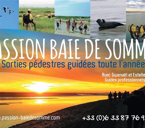 2022年 Passion Baie De Somme 行く前に！見どころをチェック トリップアドバイザー