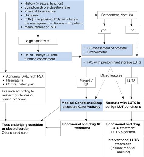 Management Of Non Neurogenic Male Luts Disease Management Uroweb