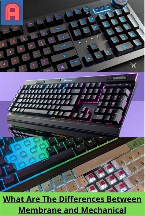 Membrane Vs Mechanical Keyboards Which Is Right For You