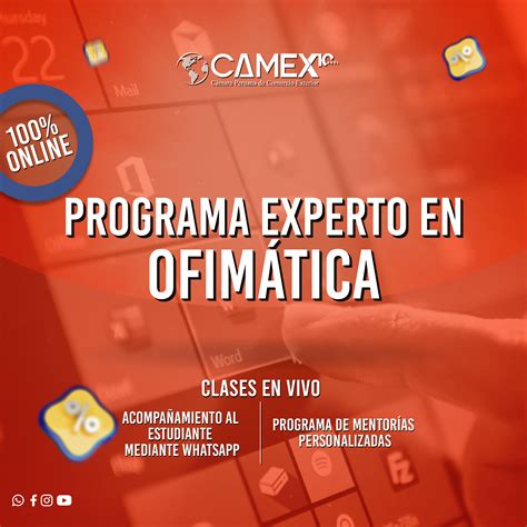 Programa Experto En Ofim Tica Camex Hotmart