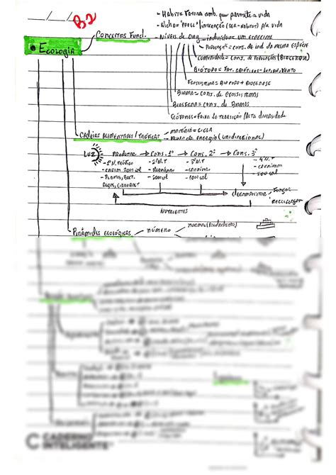 Solution Biologia Resumo Studypool