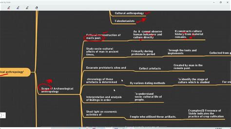 Anthropology Major Branches Of Anthropology Learn Through Mindmaps