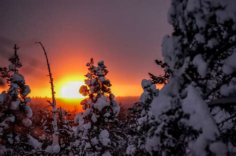 Foto Wyprawa Do Finlandii Laponia W Blasku Zorzy