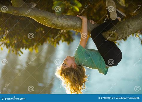 Childhood Leisure Happy Kids Climbing Up Tree And Having Fun In Summer