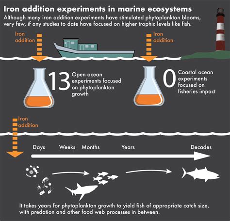 Infographic on Ocean Fertilization – Ocean Fertilization