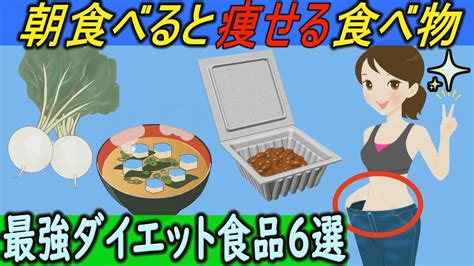 【ダイエット 食事】朝食べると痩せる食べ物とは？【最強ダイエット】朝食メニュー6選はこちら！【健康雑学】 ダイエット動画まとめ