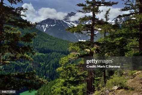 250 White Mountains National Recreation Area Stock Photos High Res