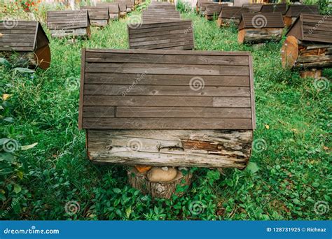 Artificial Bee Hives For The Production Of Honey And Royal Jelly