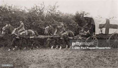 Horse Ambulance Photos And Premium High Res Pictures Getty Images