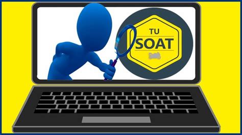 C Mo Verificar La Vigencia De Mi Soat Actualizado Noviembre