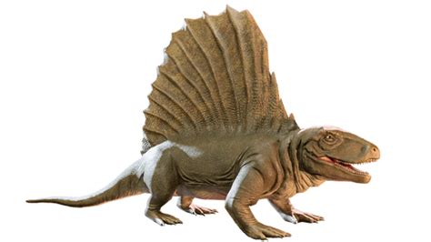 Dimetrodon Dinopedia The Dino Dan Wiki Fandom