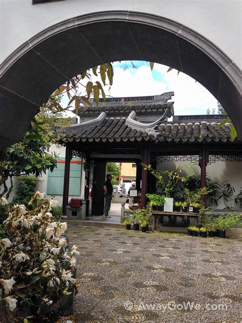 Portland S Lan Su Chinese Garden Guide For Visiting Hammock Hoppers