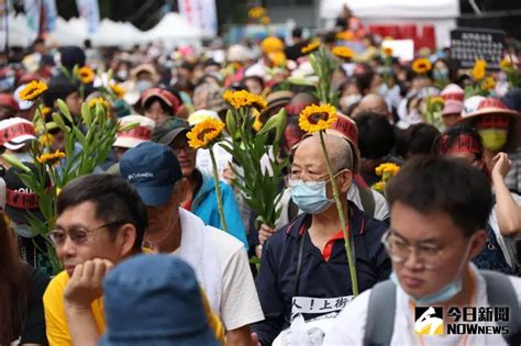 「青鳥行動」規模會更大？黃揚明揭關鍵點：千萬別小看同溫層 政治快訊 要聞 Nownews今日新聞