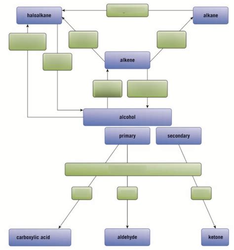 Diagram Of Module 4 Synthetic Routes Quizlet