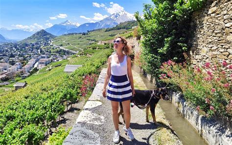 Sion Trekking E Degustazioni Nella Capitale Del Vino Della Svizzera