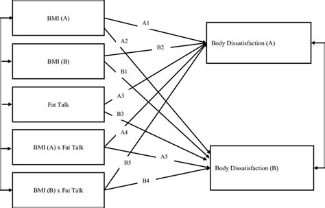 Graphical Representation Of The Actorpartner Interdependence Model It