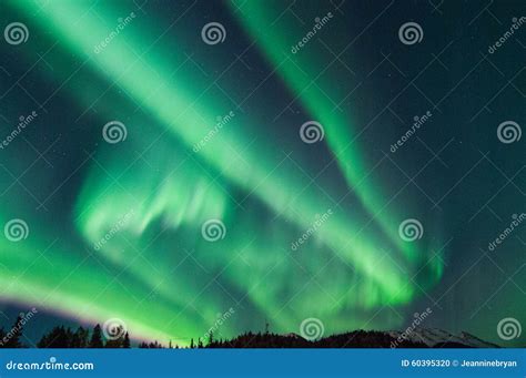 Northern Lights stock photo. Image of anchorage, alaska - 60395320