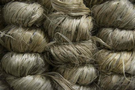 Jute Fibre