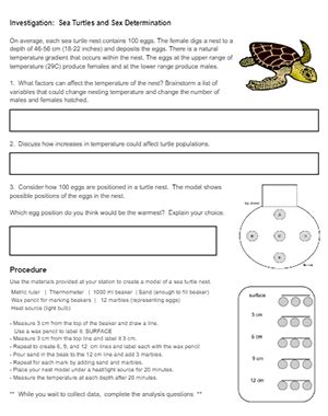 Investigating Sea Turtles And Sex Determination