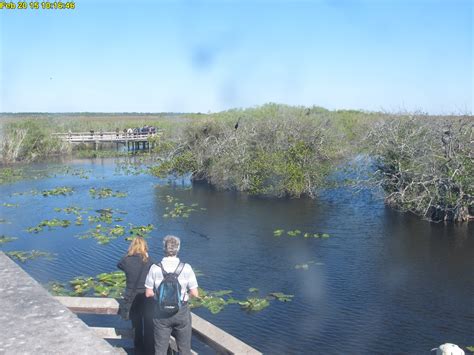 NPS: Everglades National Park Webcam