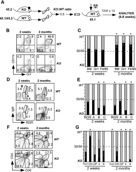 Competitive BM Reconstitution Reveals Cellintrinsic Role For Gp96 In B