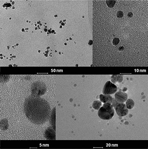 Actinobacterialmediated Synthesis Of Silver Nanoparticles And Their