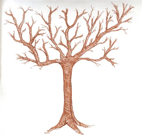 Tree Without Leaves Sketch At Explore Collection