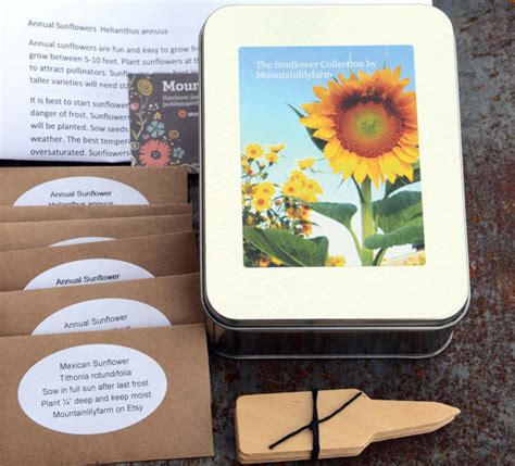 Heirloom Sunflower Seed Collection Easy To Grow Heirloom Sunflowers