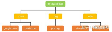 8 张图带你彻底搞懂 DNS 域名解析过程 知乎