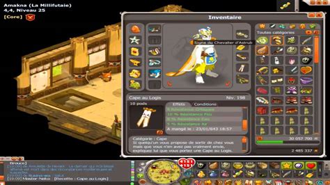 Dofus Présentation Ecaflip TERRE lvl 199 1000 force YouTube