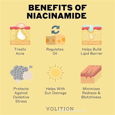 Niacinamide Skin Care Skin Care Routine Skin Care Tips