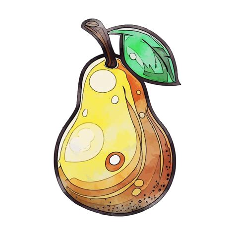 Premium Vector Pear Watercolor Vector Illustration