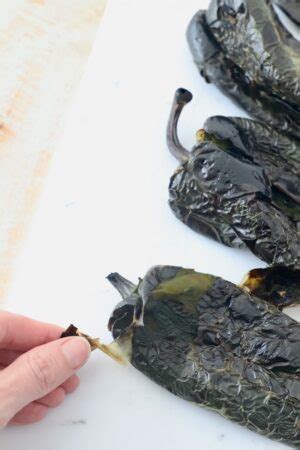 How To Make Roasted Poblano Peppers - WhitneyBond.com