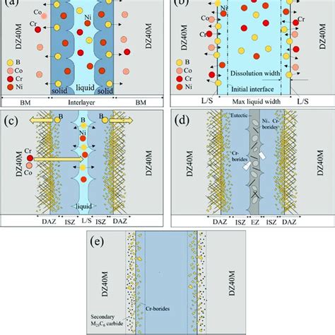 Schematic Of The Microstructure Evolution Mechanism Of The Brazed