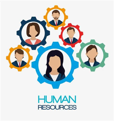 ᐈ Human Resources Graphics Stock Illustrations Royalty Free Human