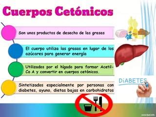 Cuerpos Cetonicos PPT