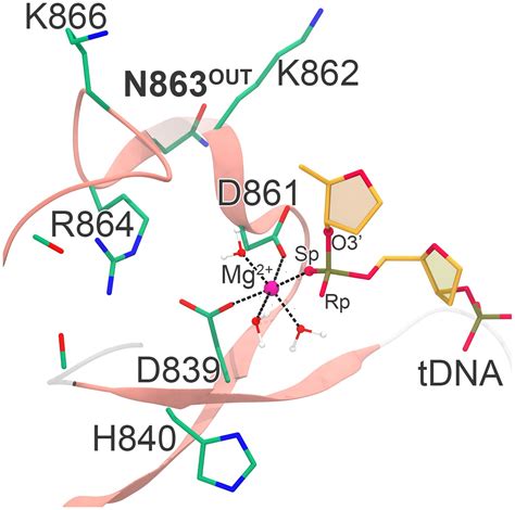 Figures And Data In Structural And Functional Insights Into The Bona