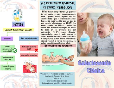 Galactosemia Cl Sica Si Es De Suma Importancia Ya Que Uno De Mil