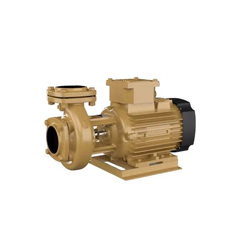 Buy Kirloskar 2 Hp Three Phase Monoblock Pump Kdi 216 Ee5 Cii Ms Ss Ip55 Fcl Online In India