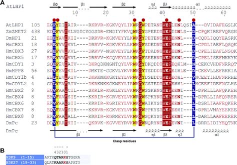 Structure Based Sequence Alignment Of Selective Chromodomains A