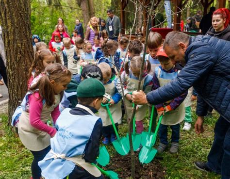 Clujul Verde Noi Arbori Planta I De Copii I Tineri N Parcul