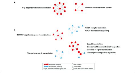 Network Of Dysregulated Pathways In Dimn Comparisons Dysregulated