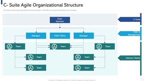 C Suite Agile Organizational Structure Ppt Powerpoint Presentation File