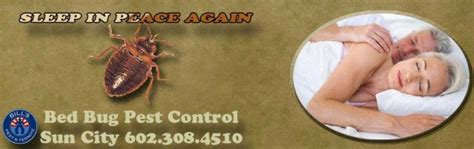 Bed Bug Control Sun City Az Best Bed Bug Exterminators